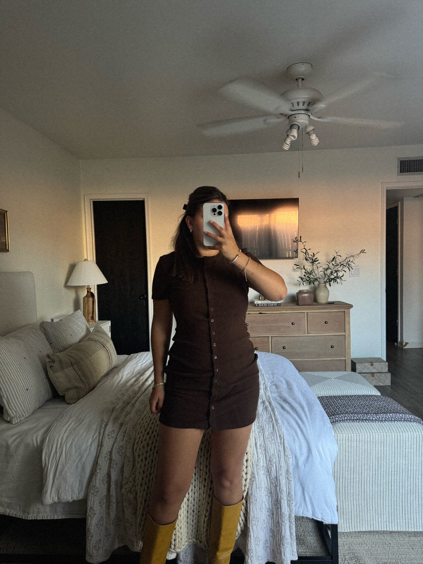The Brown Mini