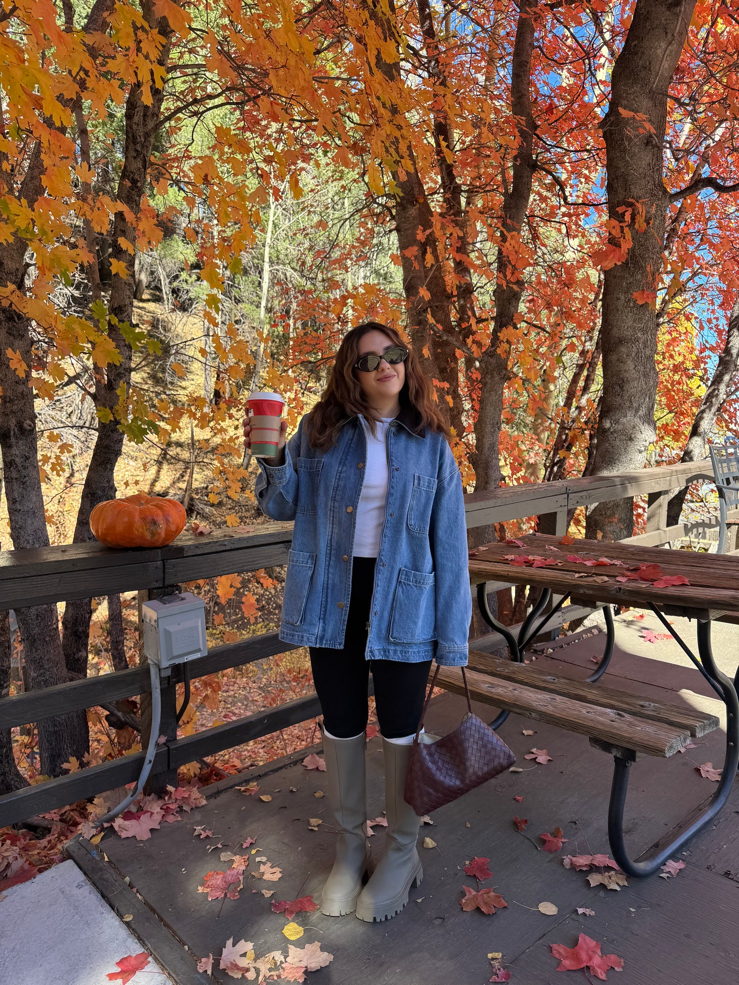 Central Park Denim Barn Jacket