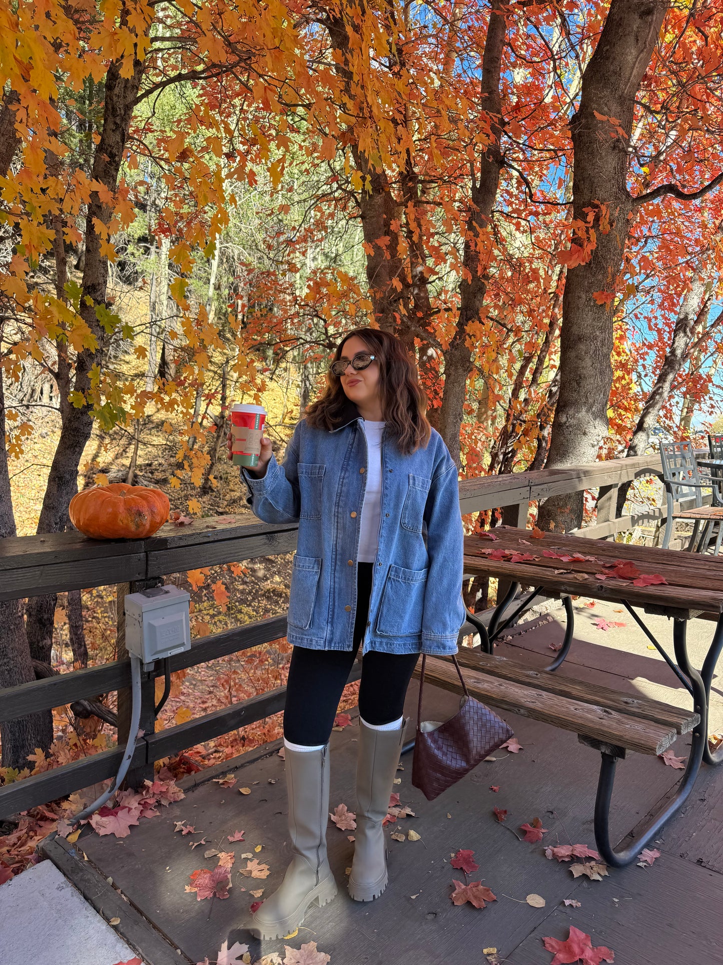 Central Park Denim Barn Jacket